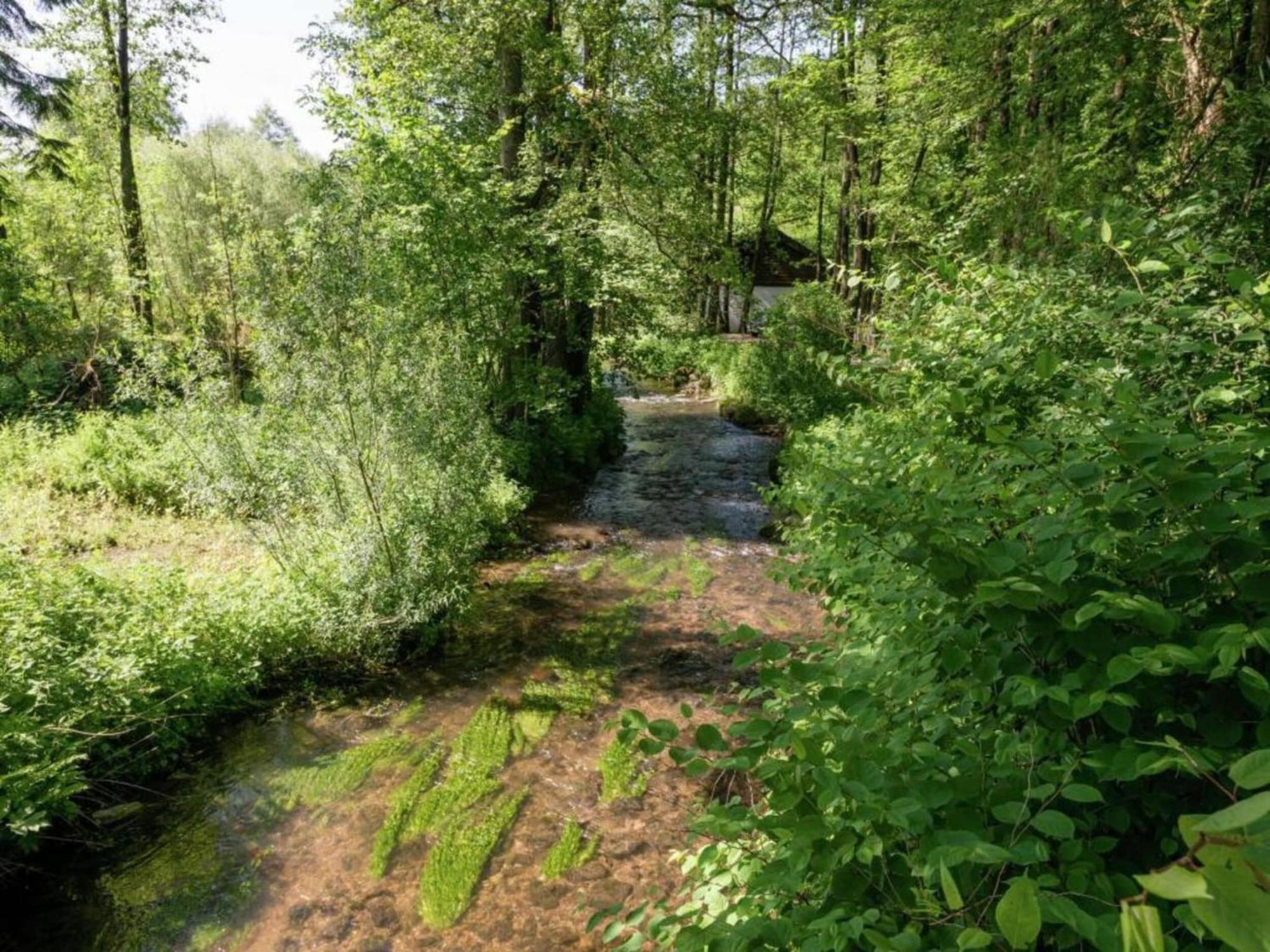 Magnificent Apartment In Willingen With Balcony מראה חיצוני תמונה